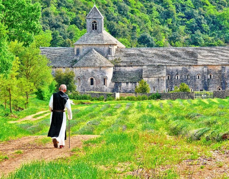Promenade quotidienne à l'abbaye de Sénanque