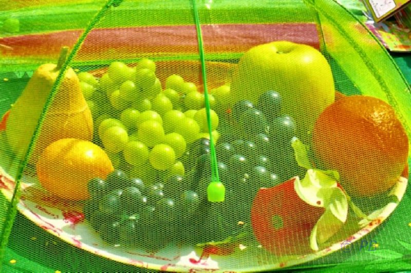 Marché à Lisle sur la Sorgue