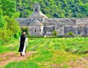 Promenade quotidienne à l'abbaye de Sénanque